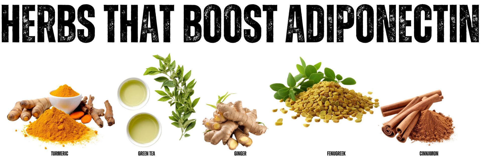 Herbs That Boost Adiponectin